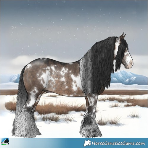 Horse Color:White Spotted Brown Dun Sabino Rabicano 