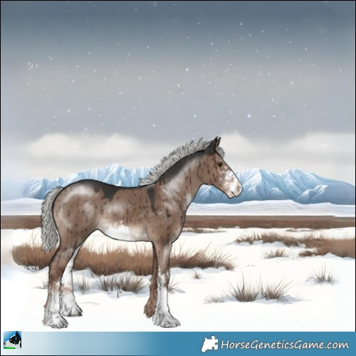 Horse Color:Liver Red Dun Mushroom Sabino Brindle 