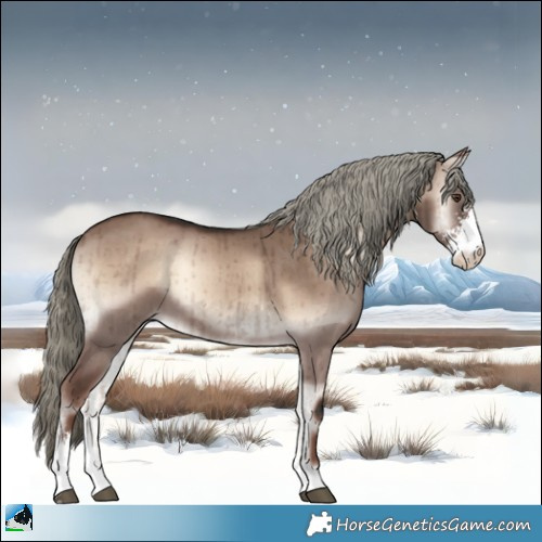 Horse Color:Liver Red Dun Onyx Mushroom Sabino Brindle 