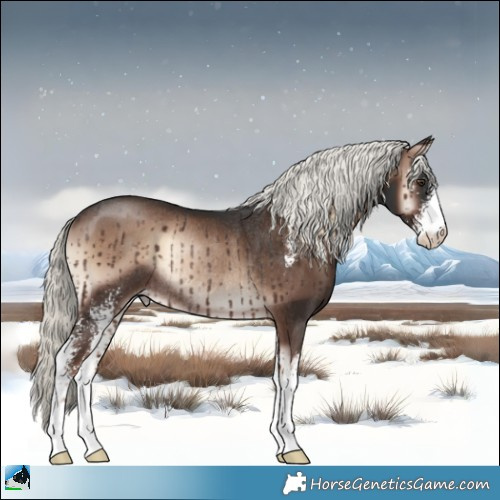 Horse Color:Liver Red Onyx Mushroom Sabino Rabicano 