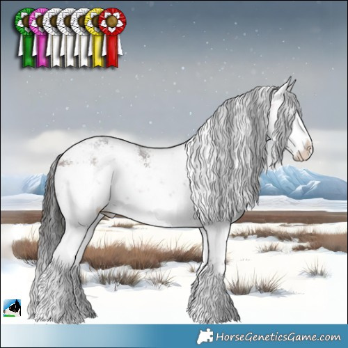 Horse Color:White Spotted Bay Sabino Rabicano 