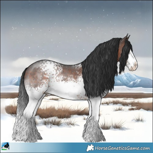 Horse Color:White Spotted Brown Sabino Rabicano 