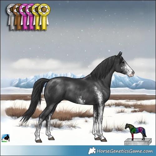 Horse Color:White Spotted Black 