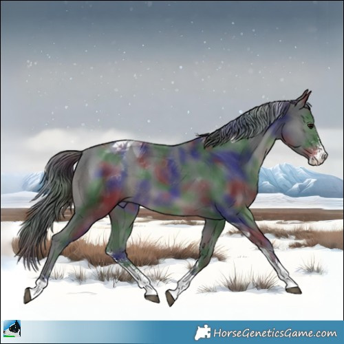 Horse Color:Nacre Black Sabino Tobiano 