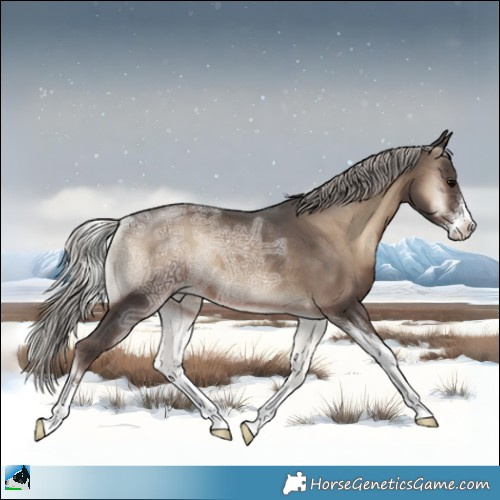 Horse Color:Silver Blue Onyx Ice Sabino Rabicano 