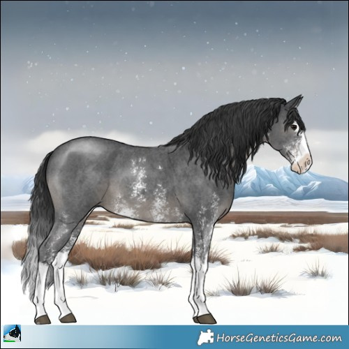 Horse Color:Black Sabino Splash 