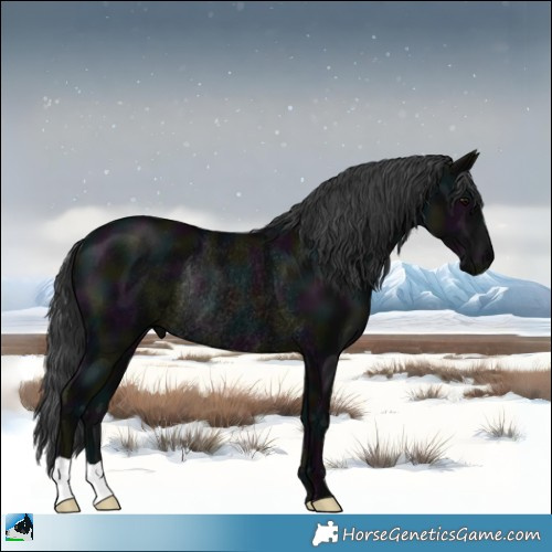 Horse Color:Midnight Black Mushroom Rabicano 