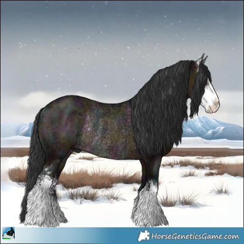 Horse Color:Midnight Brown Ice Dun Sabino Rabicano 