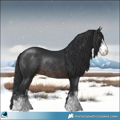 Horse Color:Brown Sabino Rabicano 
