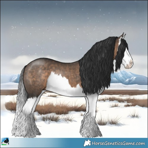 Horse Color:Brown Dun Splash 
