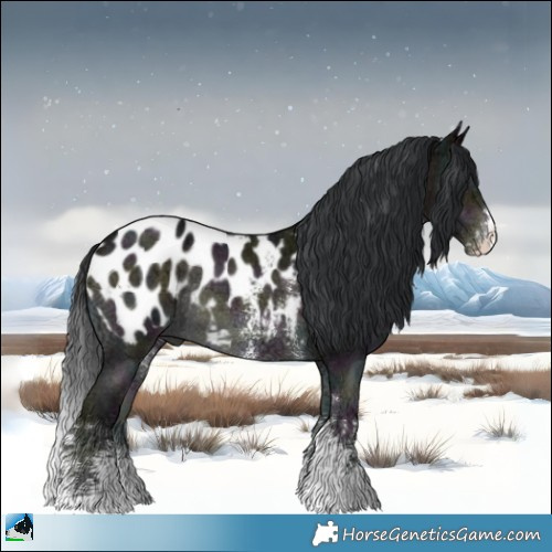 Horse Color:Midnight Brown Ice Onyx Sabino Appaloosa Rabicano 