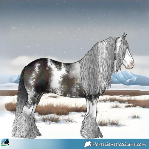 Horse Color:Midnight Brown Onyx Sabino Splash Rabicano 