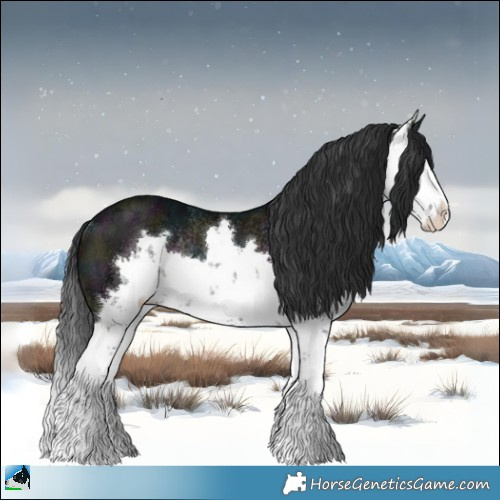 Horse Color:Midnight Brown Ice Sabino Rabicano 