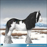 Horse Color:Midnight Brown Ice Sabino Rabicano 