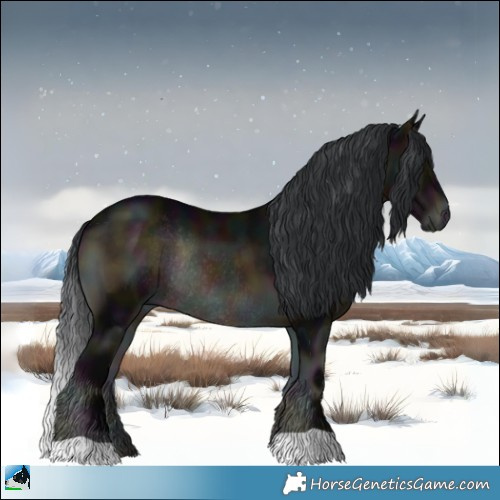 Horse Color:Midnight Brown Onyx Rabicano 