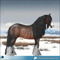 Horse Color:Brown Rabicano 