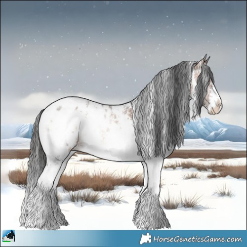 Horse Color:Brown Onyx Sabino Appaloosa Rabicano 