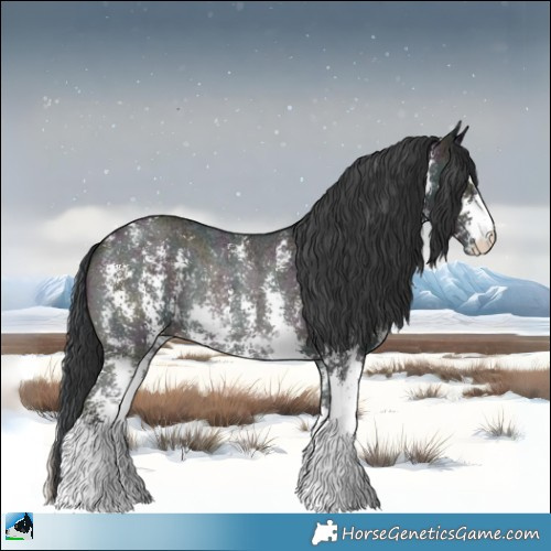 Horse Color:Midnight Blue Onyx Ice Sabino Rabicano 