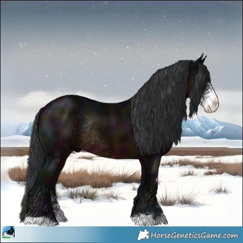 Horse Color:Midnight Brown Sabino Rabicano 