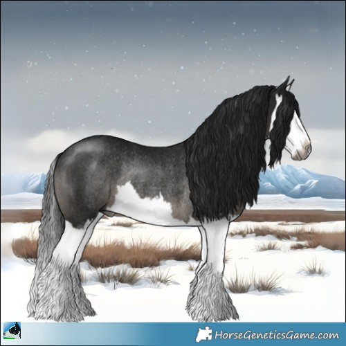 Horse Color:Gray Black Splash Rabicano 