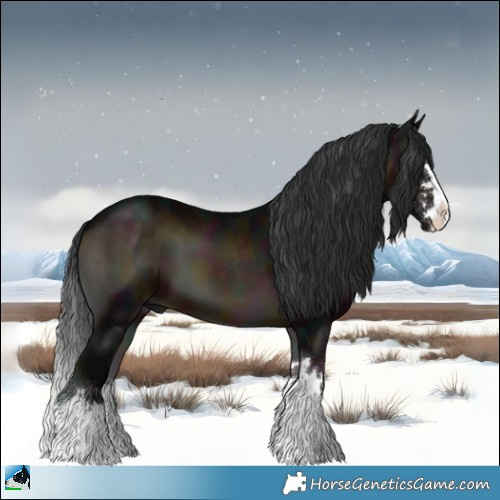 Horse Color:Midnight Brown Onyx 