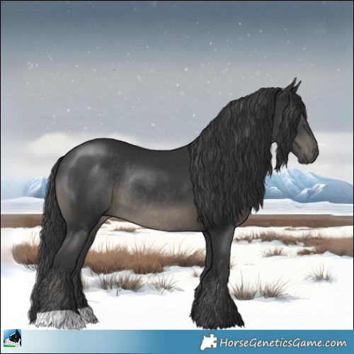 Horse Color:Black Rabicano 