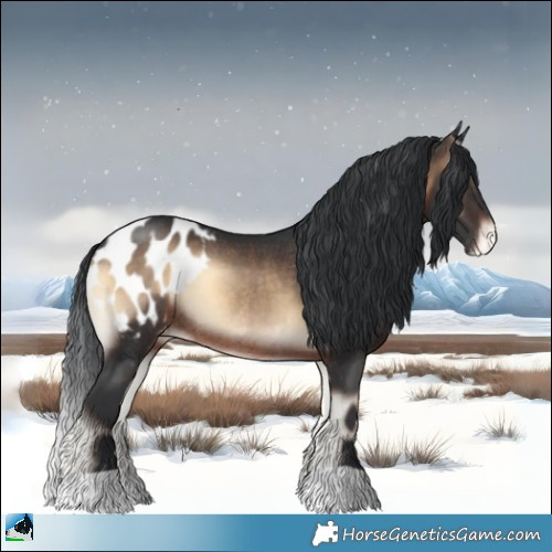 Horse Color:Brown Onyx Appaloosa Rabicano 