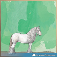 Horse Color:Liver Red Dun Tobiano 