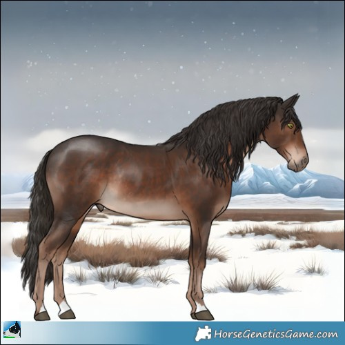 Horse Color:Liver Chestnut Rabicano 
