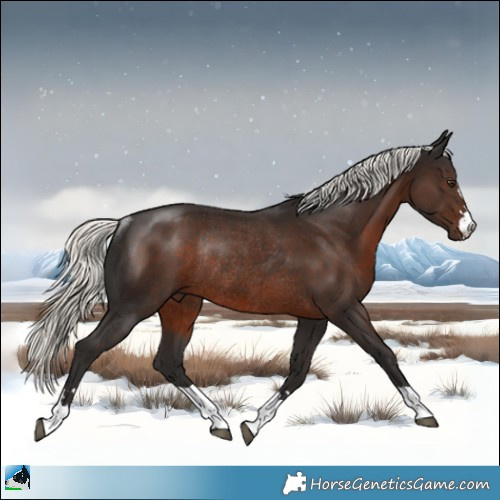 Horse Color:Liver Chestnut Mushroom Rabicano 