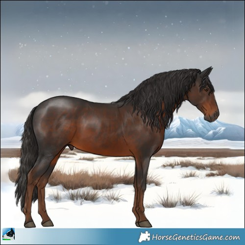 Horse Color:Gray Liver Chestnut 