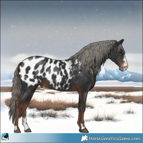 Horse Color:Liver Chestnut Mushroom Sabino Appaloosa Rabicano 