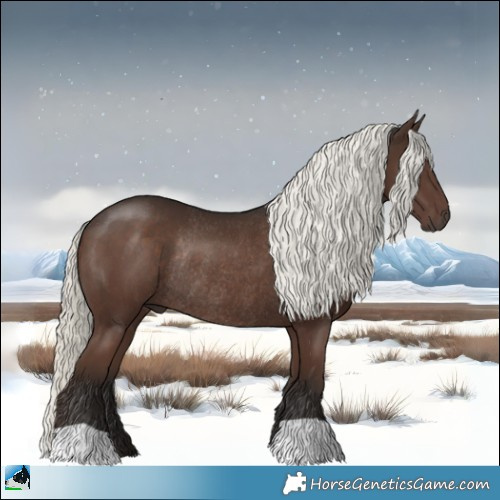 Horse Color:Liver Chestnut Mushroom Rabicano 