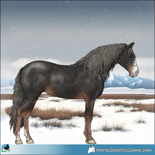 Horse Color:Liver Chestnut Mushroom Sabino 