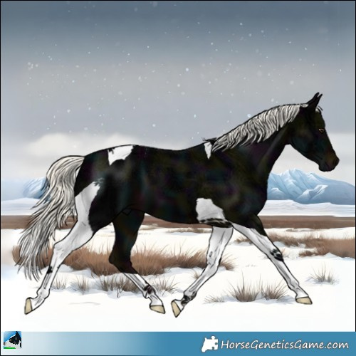 Horse Color:Midnight Liver Chestnut Ice Mushroom Tobiano 