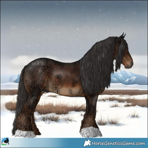 Horse Color:Gray Liver Chestnut Ice 