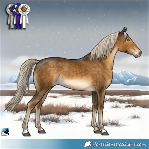 Horse Color:Chocolate Palomino Mushroom 