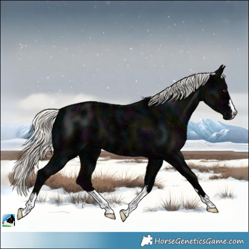 Horse Color:Midnight Liver Chestnut Ice Mushroom