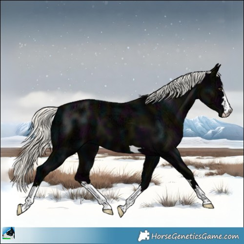 Horse Color:Midnight Liver Chestnut Ice Mushroom 