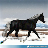 Horse Color:Midnight Liver Chestnut Ice Mushroom