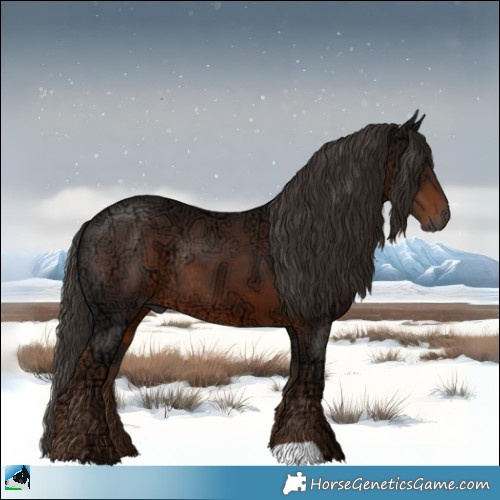 Horse Color:Gray Liver Chestnut Ice Rabicano 