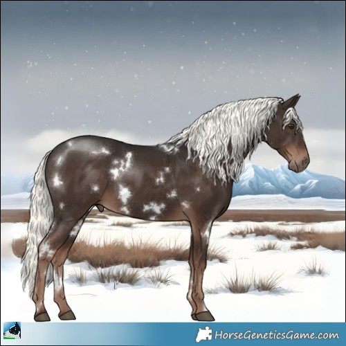 Horse Color:White Spotted Liver Chestnut Mushroom 