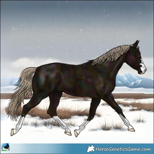 Horse Color:Midnight Chocolate Palomino Mushroom 