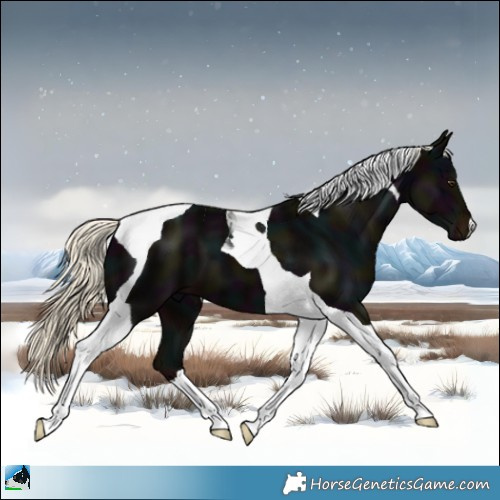 Horse Color:Midnight Liver Chestnut Mushroom Tobiano 