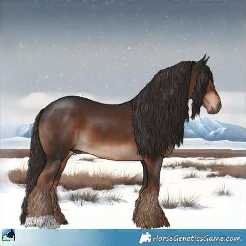 Horse Color:Gray Liver Chestnut 