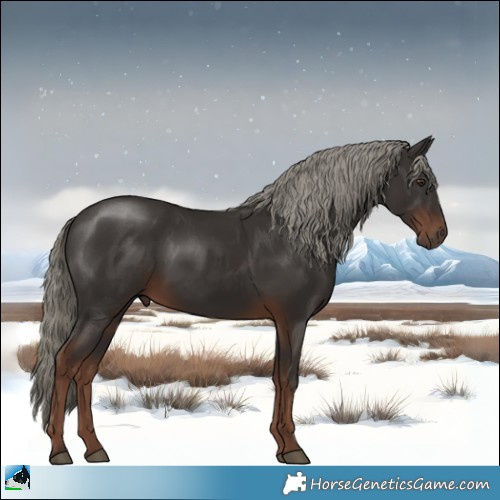Horse Color:Liver Chestnut Mushroom Rabicano 