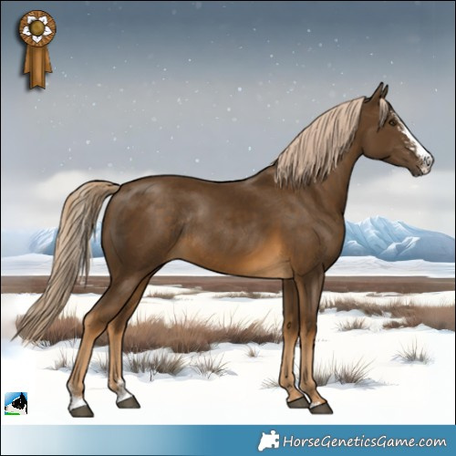 Horse Color:Chocolate Palomino Mushroom Sabino Rabicano 