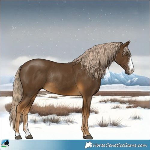 Horse Color:Chocolate Palomino Mushroom Sabino Rabicano 