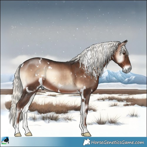 Horse Color:White Spotted Liver Red Onyx Mushroom Rabicano 