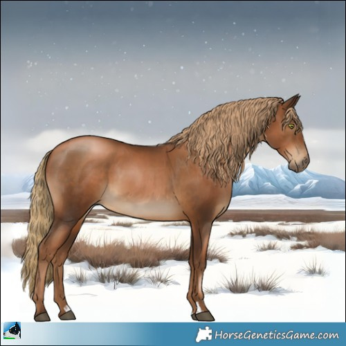 Horse Color:Gray Liver Chestnut Pearl 